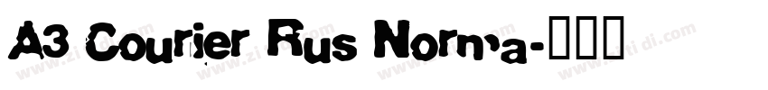 A3 Courier Rus Norma字体转换